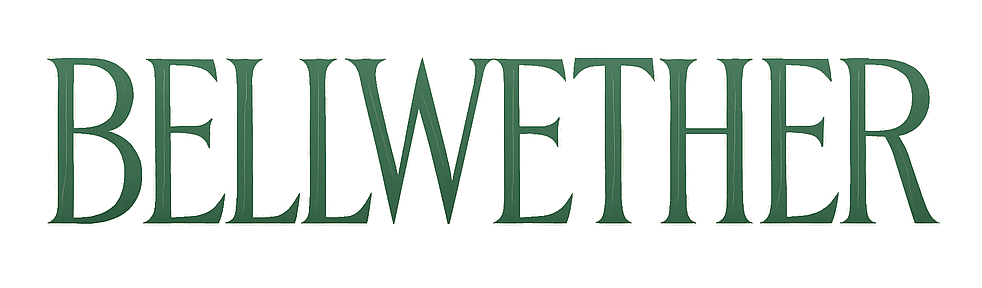 Bellwether | Contemporary Womenswear, Home Goods, and Accessories