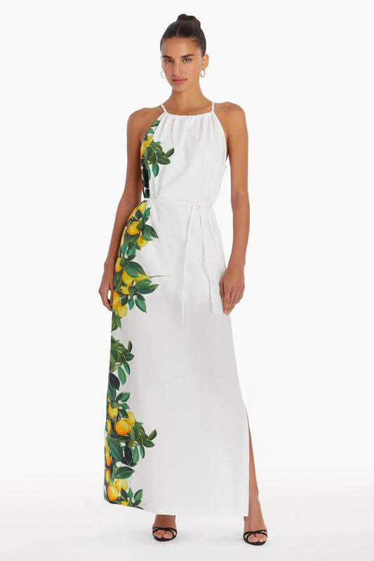 Alicanta Dress